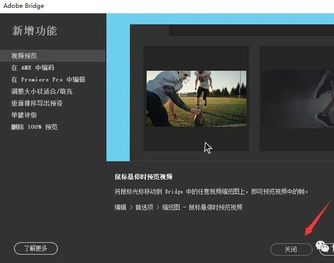 图片[9]-总是期待在这里与你相逢！Bridge 2022安装教程-总是期待在这里与你相逢！应用软件