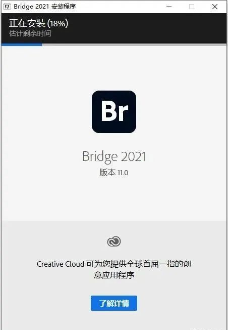 图片[6]-总是期待在这里与你相逢！Bridge 2022安装教程-总是期待在这里与你相逢！应用软件