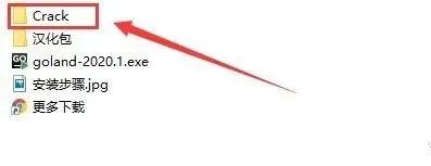 图片[12]-总是期待在这里与你相逢！Jetbrains GoLand 2020.1安装教程-总是期待在这里与你相逢！应用软件