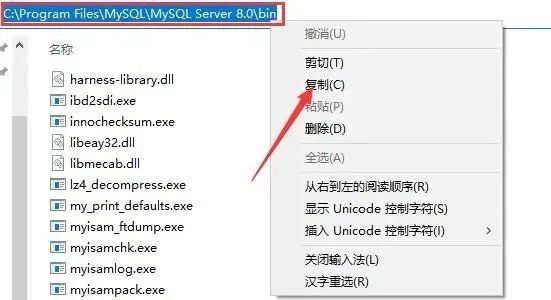 图片[19]-总是期待在这里与你相逢！MySQL 8.0安装教程-总是期待在这里与你相逢！应用软件