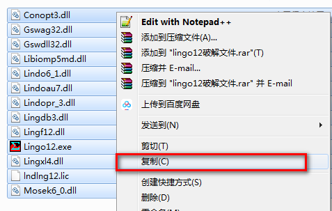 图片[11]-总是期待在这里与你相逢！Lingo 12.0安装教程-总是期待在这里与你相逢！应用软件