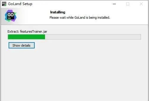 图片[7]-总是期待在这里与你相逢！Jetbrains GoLand 2020.1安装教程-总是期待在这里与你相逢！应用软件